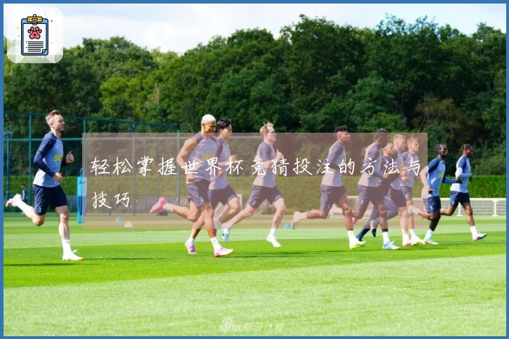 轻松掌握世界杯竞猜投注的方法与技巧