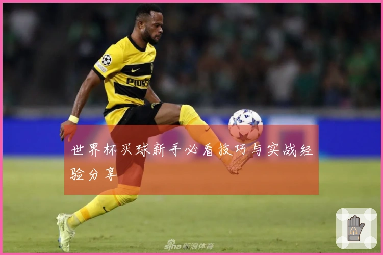世界杯买球新手必看技巧与实战经验分享