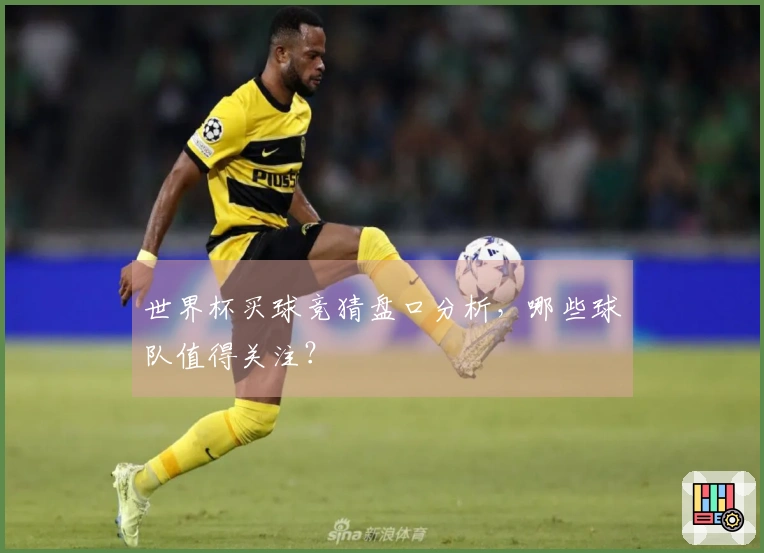 世界杯买球竞猜盘口分析，哪些球队值得关注？