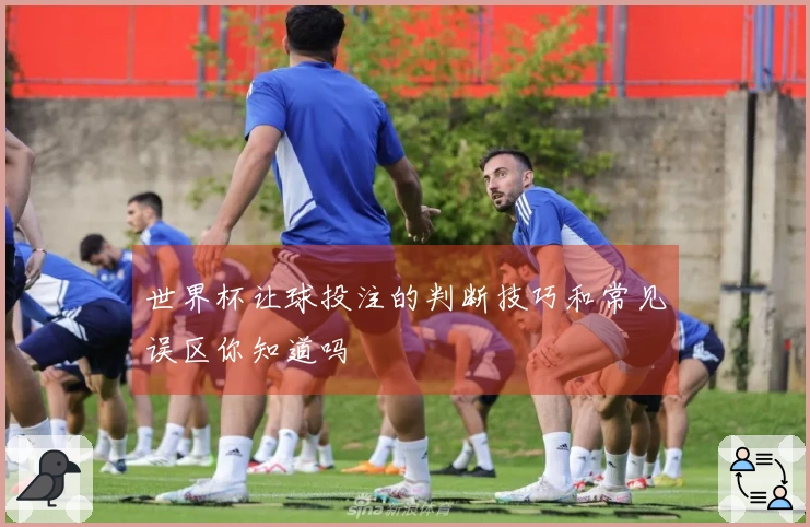 世界杯让球投注的判断技巧和常见误区你知道吗