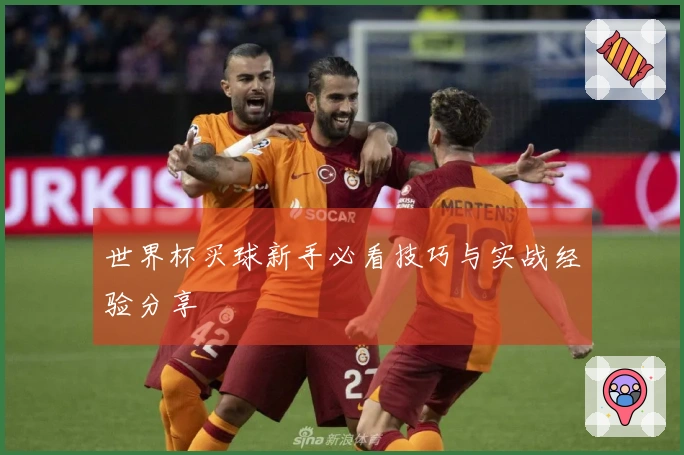 世界杯买球新手必看技巧与实战经验分享