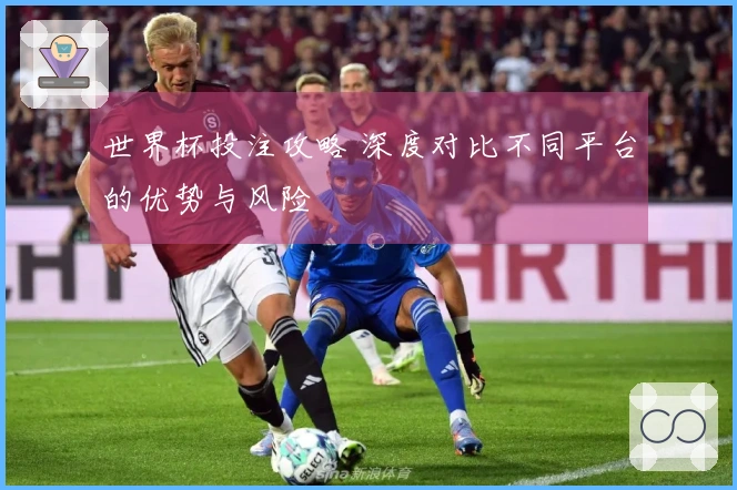 世界杯投注攻略 深度对比不同平台的优势与风险