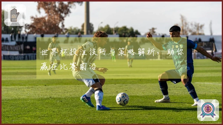 世界杯投注技巧与策略解析，助你赢在比赛前沿