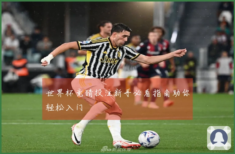 世界杯竞猜投注新手必看指南助你轻松入门