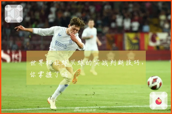 世界杯让球买球的实战判断技巧，你掌握了吗