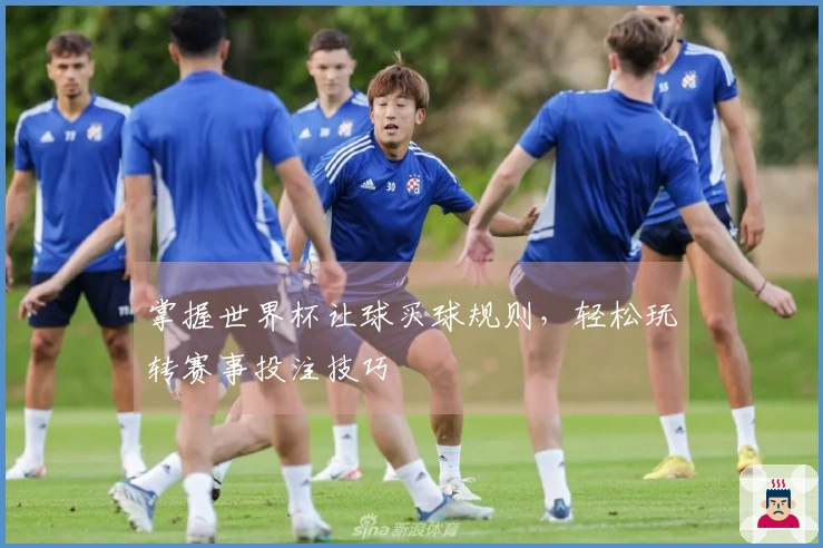 掌握世界杯让球买球规则，轻松玩转赛事投注技巧