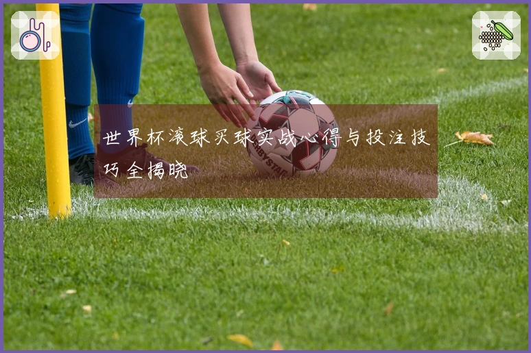 世界杯滚球买球实战心得与投注技巧全揭晓