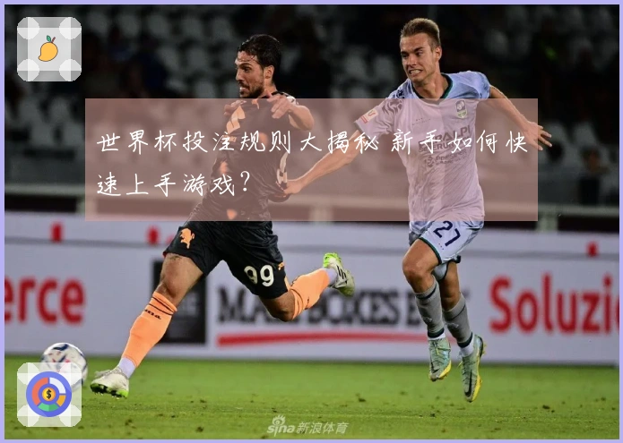 世界杯投注规则大揭秘 新手如何快速上手游戏？