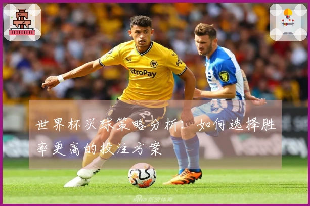 世界杯买球策略分析：如何选择胜率更高的投注方案