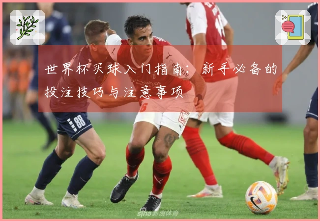 世界杯买球入门指南：新手必备的投注技巧与注意事项
