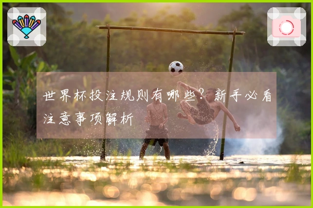 世界杯投注规则有哪些？新手必看注意事项解析