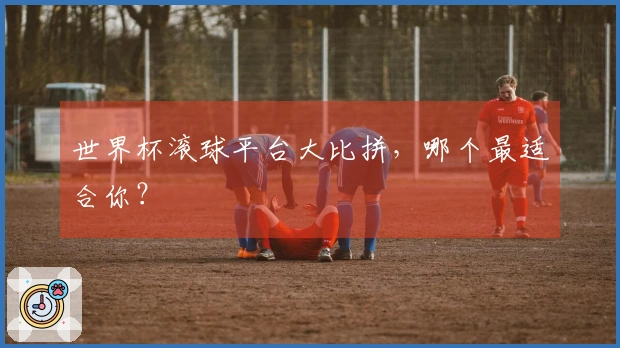 世界杯滚球平台大比拼，哪个最适合你？