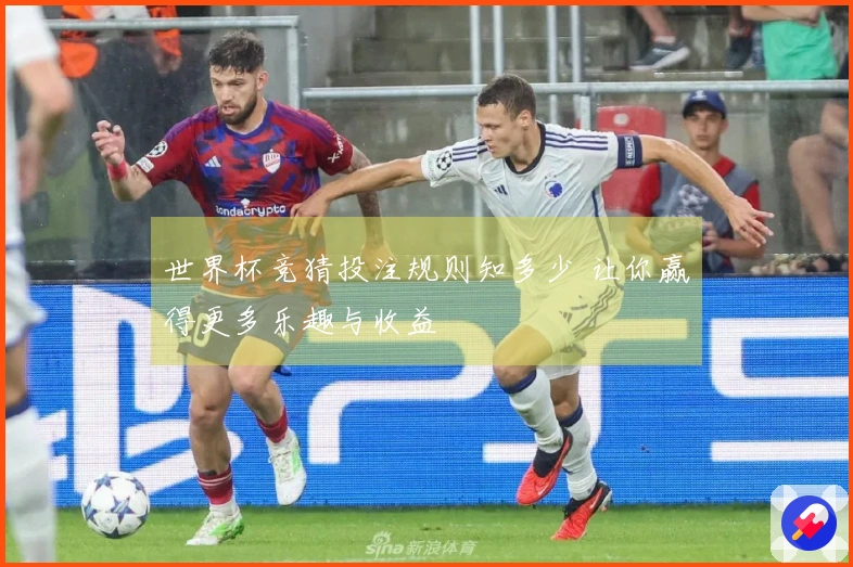 世界杯竞猜投注规则知多少 让你赢得更多乐趣与收益
