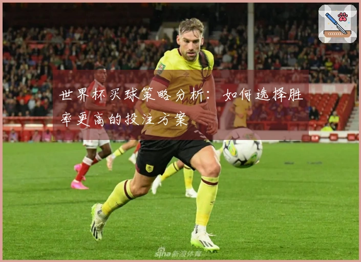 世界杯买球策略分析：如何选择胜率更高的投注方案