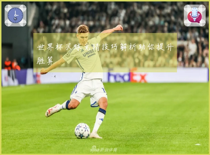 世界杯买球竞猜技巧解析助你提升胜算